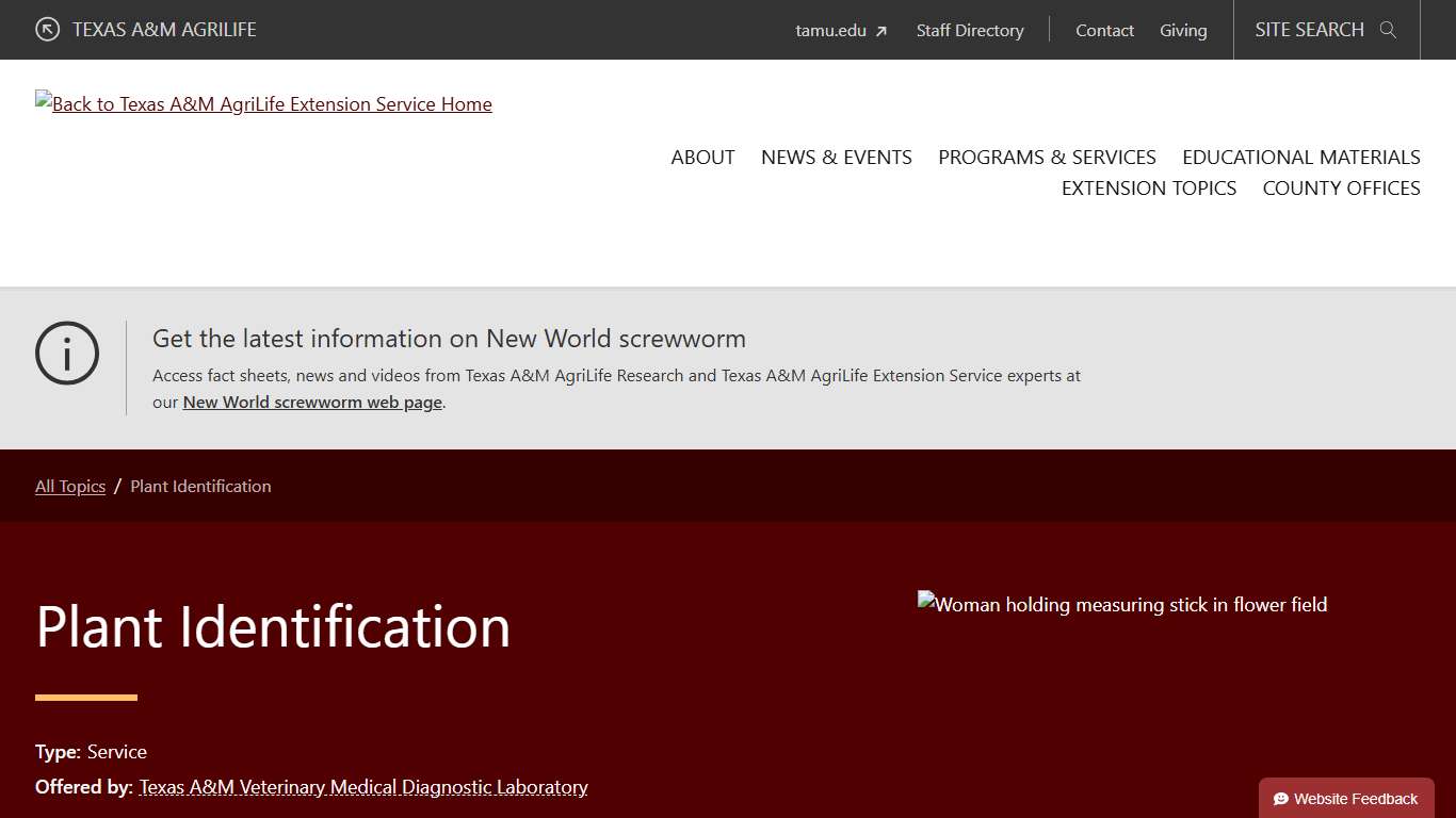 Plant Identification - Texas A&M AgriLife Extension Service