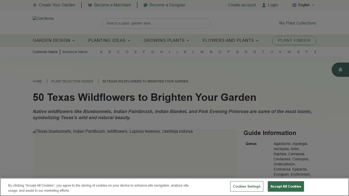 50 Texas Wildflowers You’ll Love in Your Garden