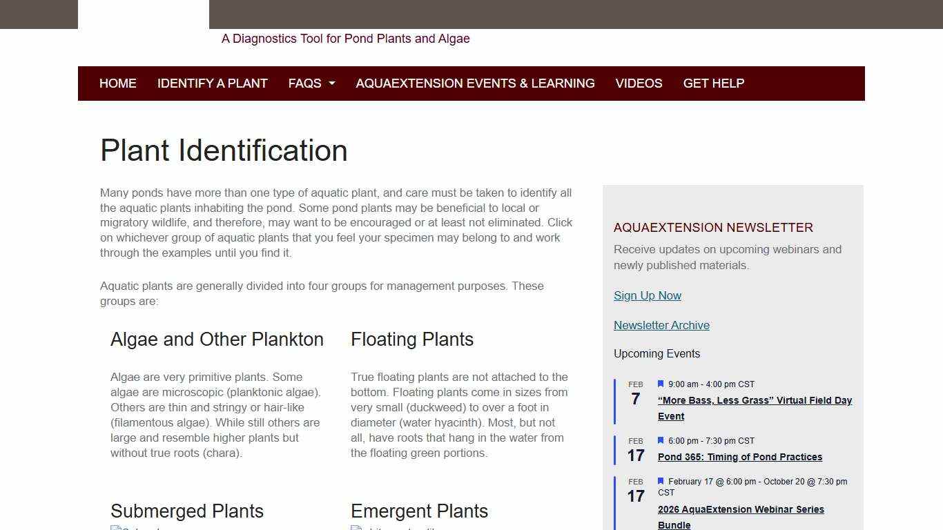 Plant Identification Pond Algae, Grass, Weeds, Moss, and More