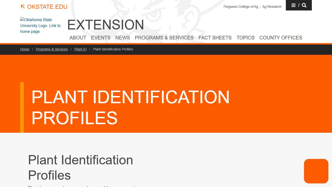 Plant Identification Profiles Oklahoma State University